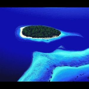 無人島物語（PC9801）