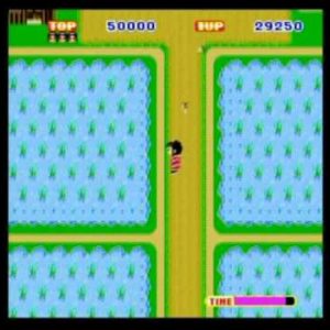 忍者プリンセス（アーケードゲーム◆セガ）
