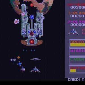 フラワー（アーケードゲーム◆セガ）