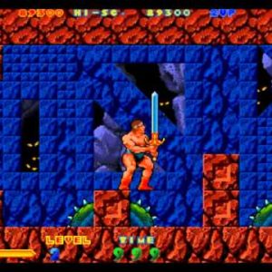 ラスタンサーガII（アーケードゲーム◆タイトー）