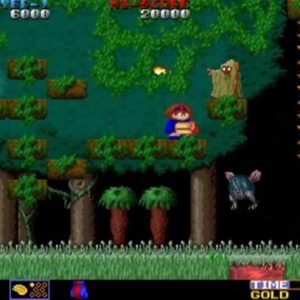 ワードナの森（アーケードゲーム◆タイトー）