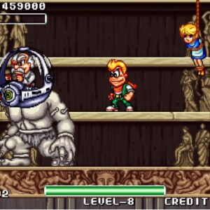 ミラクルアドベンチャー（アーケードゲーム◆データイースト）