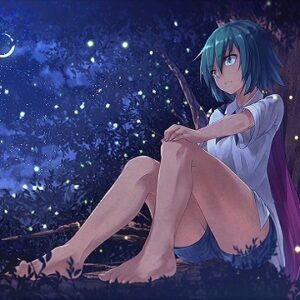 『蛍の幻』（東方Project）の動画を楽しもう！