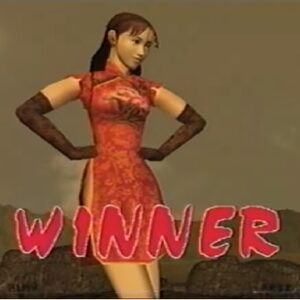 FIGHTING武術（アーケードゲーム◆コナミ）