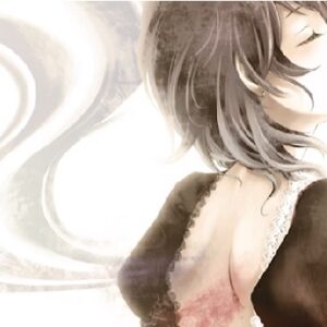 『I Wish』（東方Project）の動画を楽しもう！