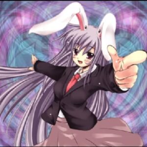 『Invisible Full Moon』（東方Project）の動画を楽しもう！