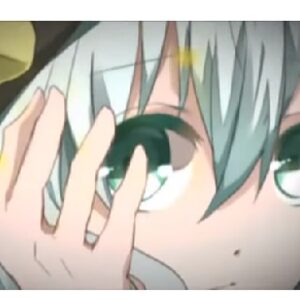 『Lonly Ranunculus』（東方Project）の動画を楽しもう！